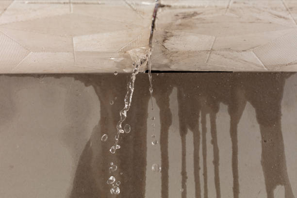 Professional Water Damage Restoration technician working in Irvington, NY